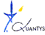 Quantys : L'informatique rentable